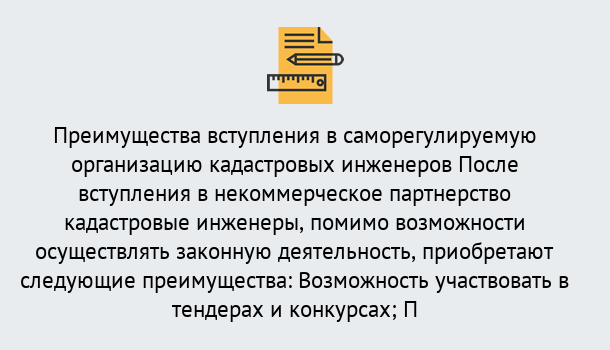 Почему нужно обратиться к нам? Нурлат Что дает допуск СРО кадастровых инженеров?