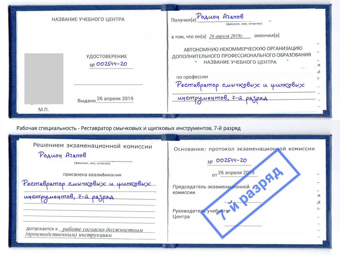 корочка 7-й разряд Реставратор смычковых и щипковых инструментов Нурлат